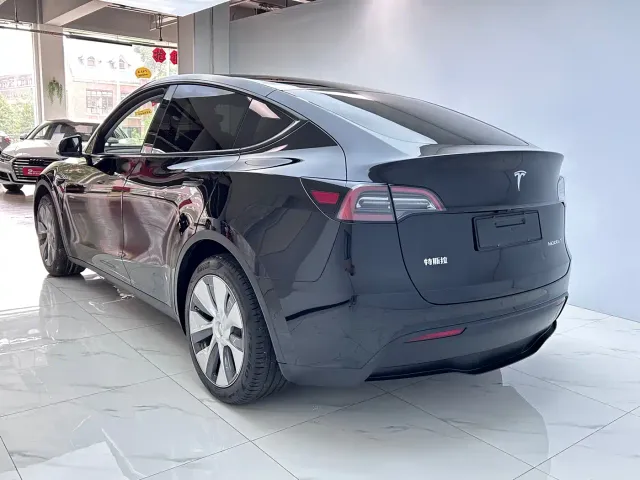 Tesla Model Y — Фото автомобиля 6