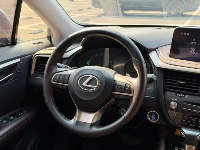 Lexus RX — Фото автомобиля 12