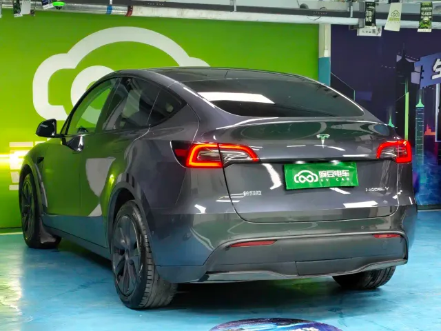 Tesla Model Y — Фото автомобиля 10