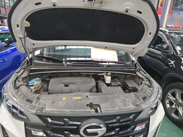 GAC Trumpchi M6 — Фото автомобиля 19