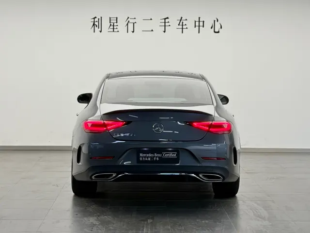 Mercedes-Benz CLS-Class — Фото автомобиля 6