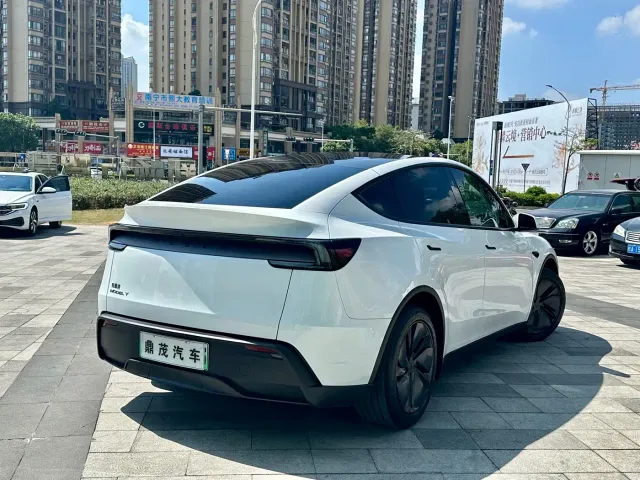 Tesla Model Y — Фото автомобиля 7