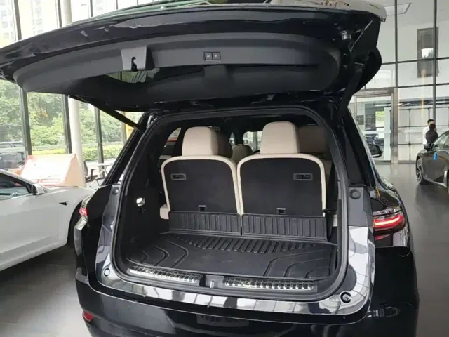 Li Auto L9 — Фото автомобиля 18