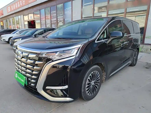 Фотография автомобиля — Denza D9