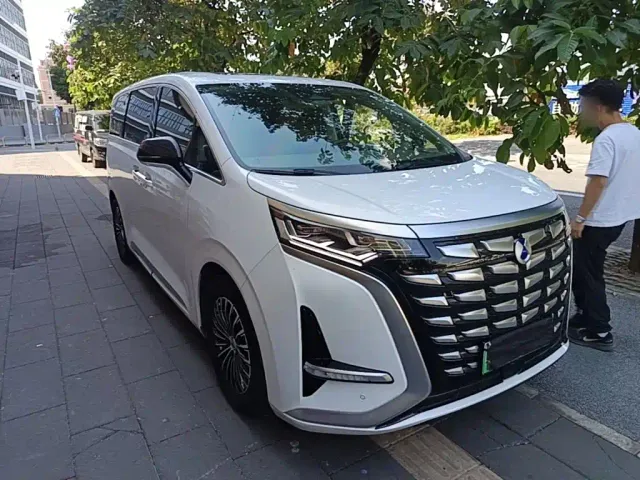 Denza D9 — Фото автомобиля 3