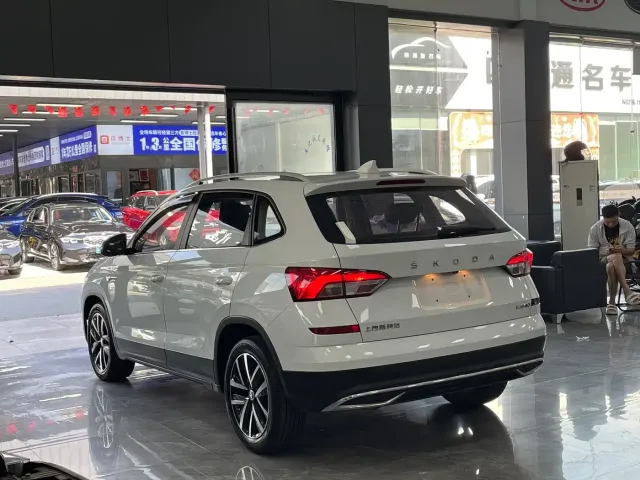 Skoda Kamiq — Фото автомобиля 14