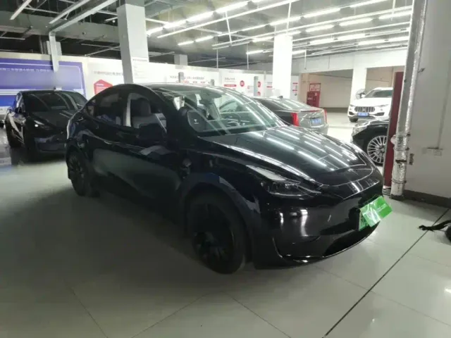 Tesla Model Y — Фото автомобиля 3