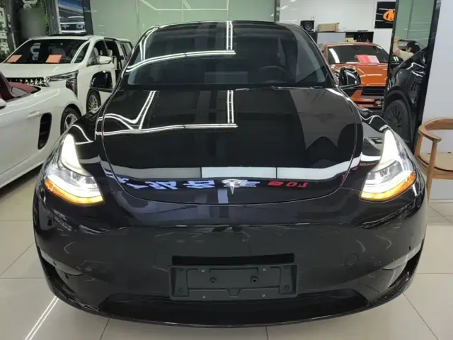 Tesla Model Y — Фото автомобиля 2