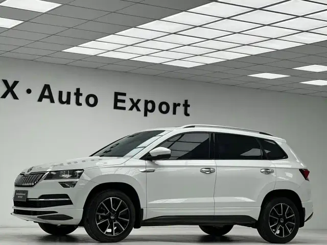 Skoda Karoq — Фото автомобиля 21