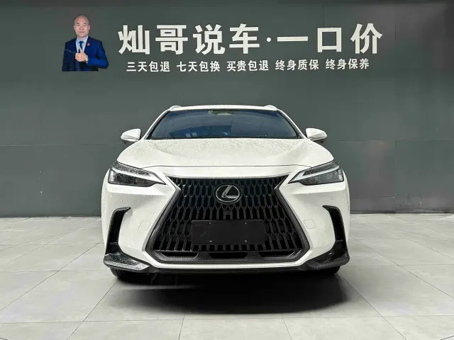 Lexus NX — Фото автомобиля 18
