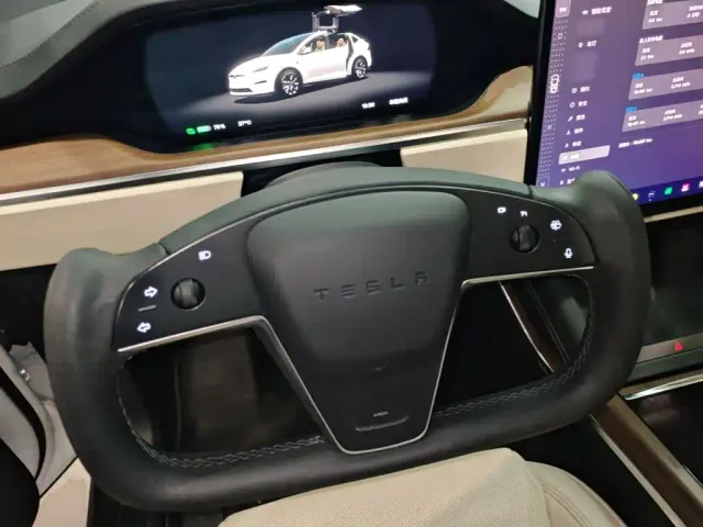 Tesla Model X — Фото автомобиля 10