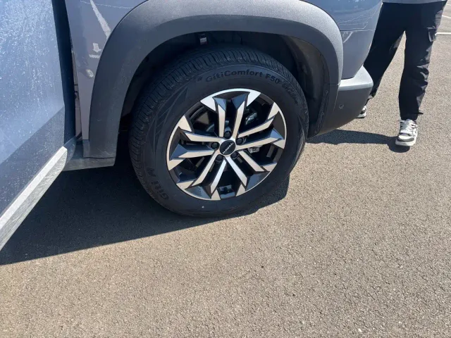 Haval Big Dog — Фото автомобиля 12