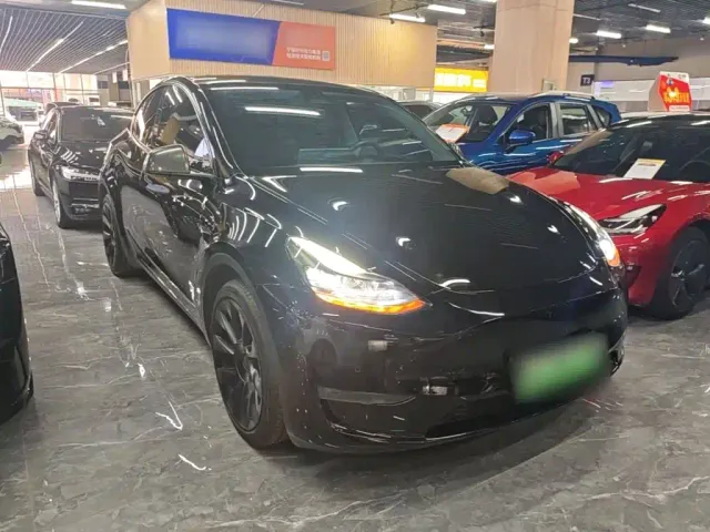 Tesla Model Y — Фото автомобиля 3