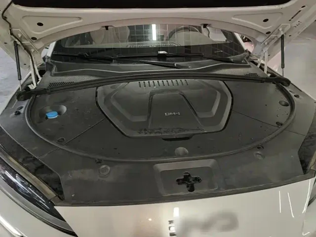 BYD Song PLUS — Фото автомобиля 19