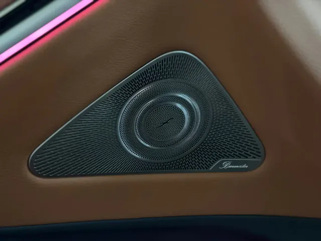 Mercedes-Benz S-Class — Фото автомобиля 14