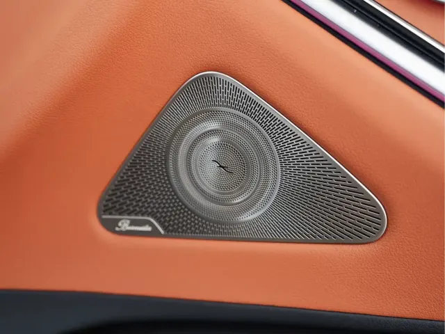 Mercedes-Benz S-Class — Фото автомобиля 11