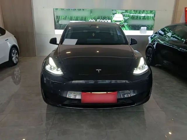 Tesla Model Y — Фото автомобиля 2