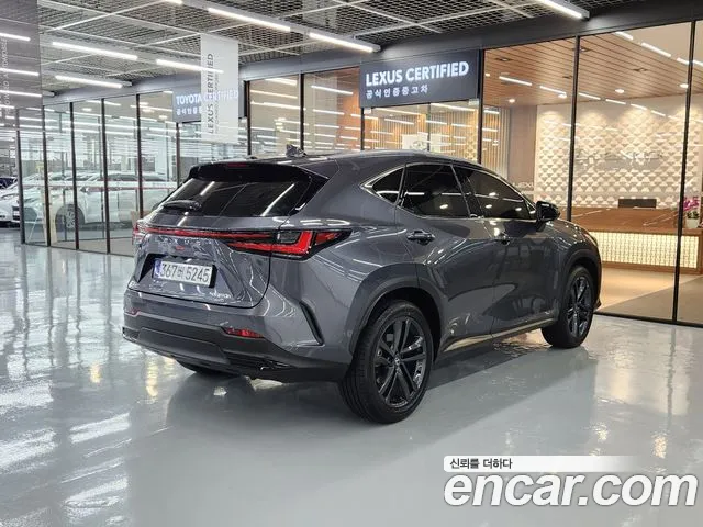 Lexus NX Generation 2 — Фото автомобиля 2