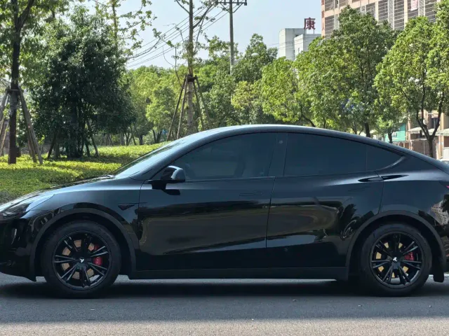 Tesla Model Y — Фото автомобиля 4