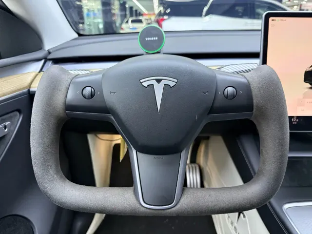Tesla Model Y — Фото автомобиля 9