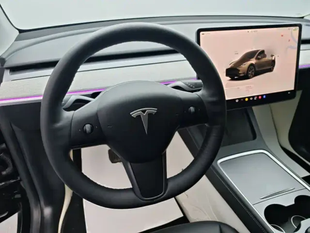 Tesla Model Y — Фото автомобиля 10