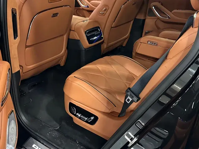 Denza N9 — Фото автомобиля 5