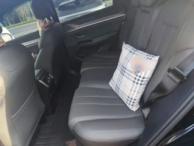 BYD Song Pro — Фото автомобиля 18