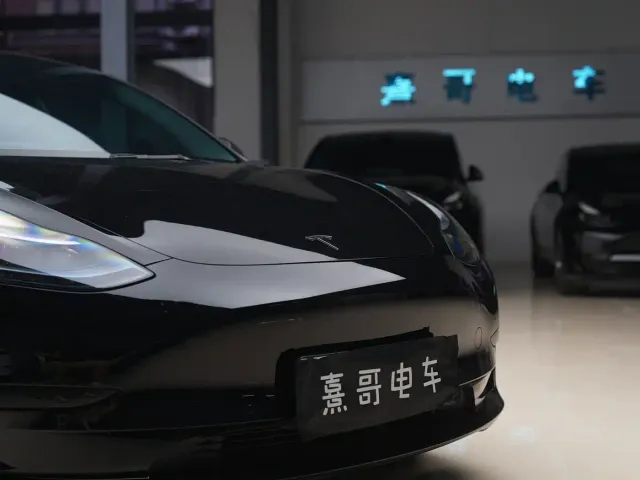 Tesla Model 3 — Фото автомобиля 8