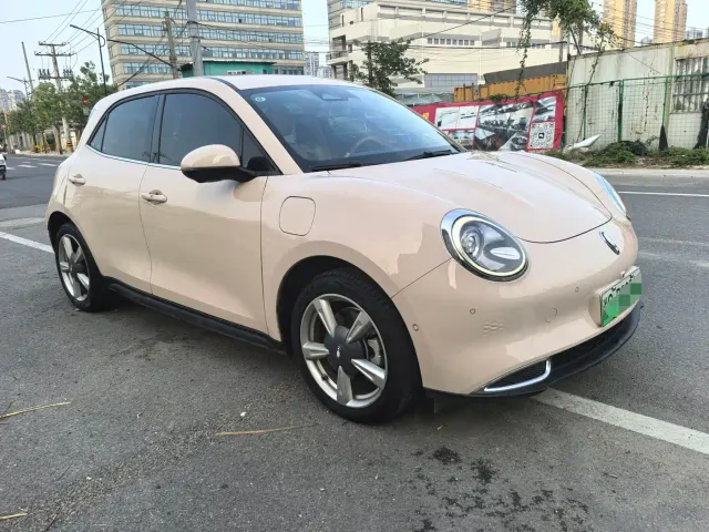 Ora Ora Good Cat 2022 400km Standard Range Premium LFP — Фото автомобиля 2