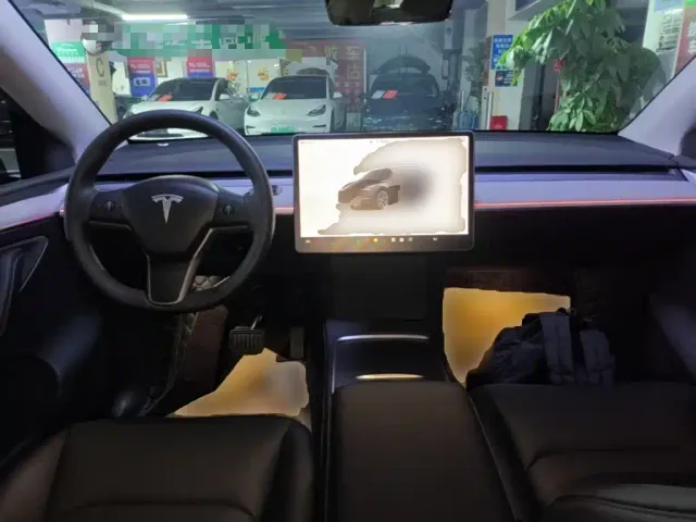 Tesla Model Y — Фото автомобиля 9