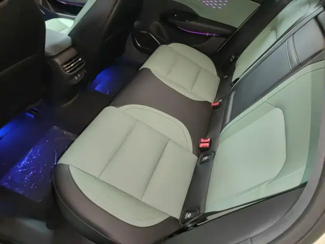 Hongqi EH7 — Фото автомобиля 16