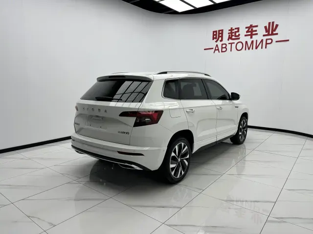 Skoda Karoq — Фото автомобиля 9