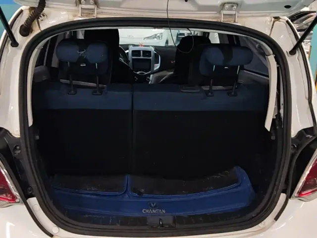 Changan Benben E-Star — Фото автомобиля 21