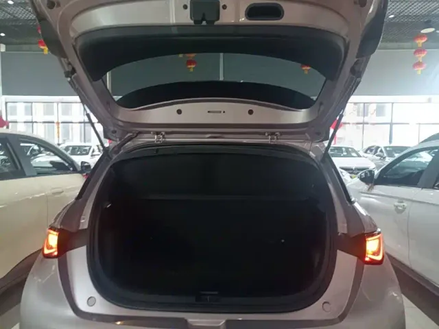 BYD Dolphin 2021 Model 405km Fashion Edition — Фото автомобиля 18