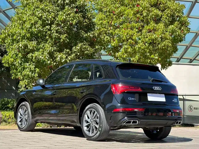 Audi Q5L — Фото автомобиля 9