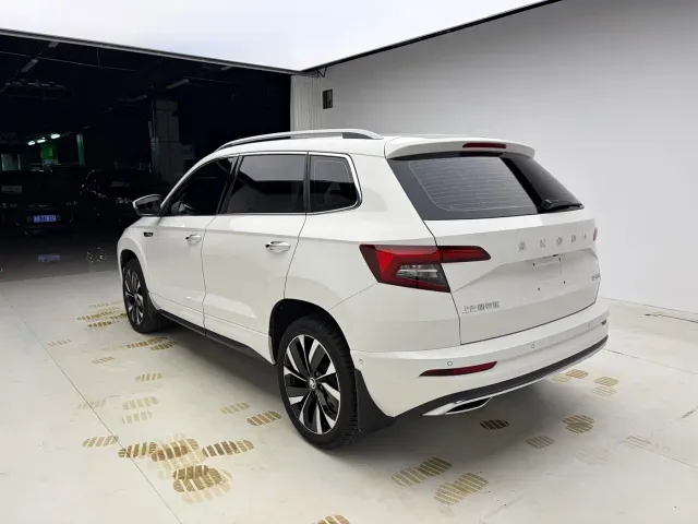 Skoda Karoq — Фото автомобиля 6