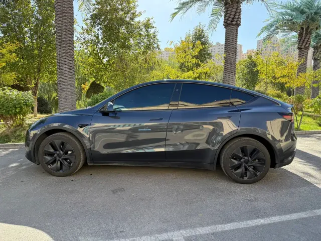 Tesla Model Y — Фото автомобиля 6
