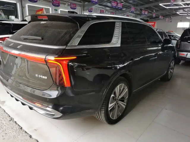 Hongqi E-HS9 — Фото автомобиля 6