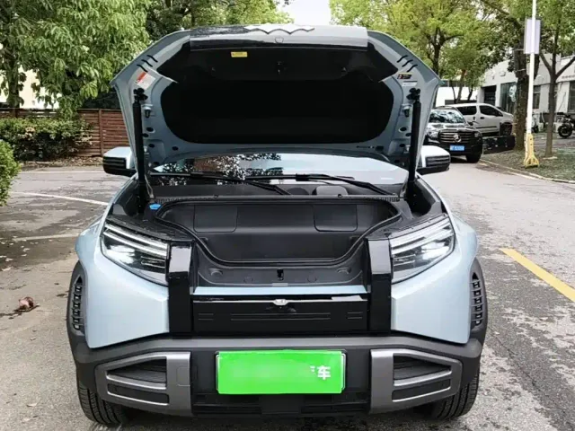 BYD FangChengBao Titanium 3 — Фото автомобиля 19