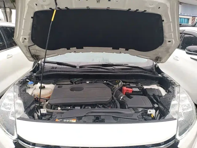 Ford Escape — Фото автомобиля 19