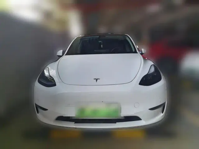 Tesla Model Y — Фото автомобиля 22
