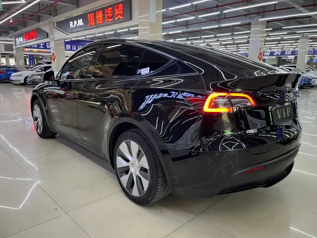Tesla Model Y — Фото автомобиля 12