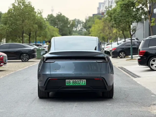 Tesla Model Y — Фото автомобиля 6