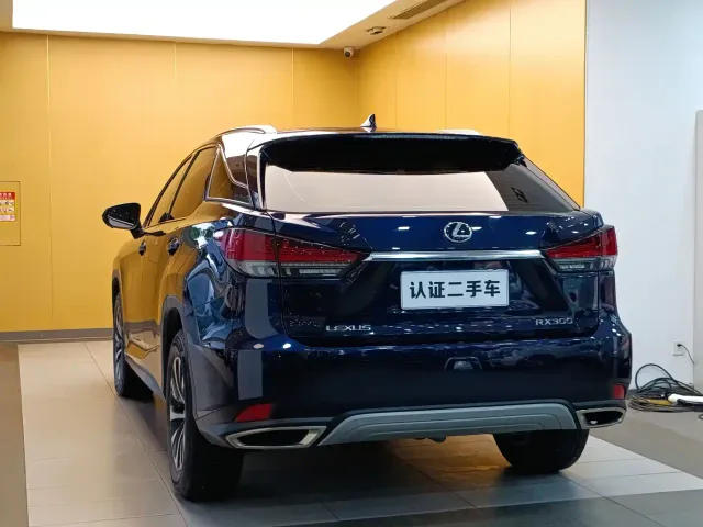 Lexus RX — Фото автомобиля 27
