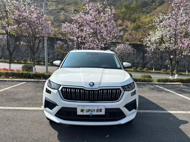 Skoda Kodiaq — Фото автомобиля 2