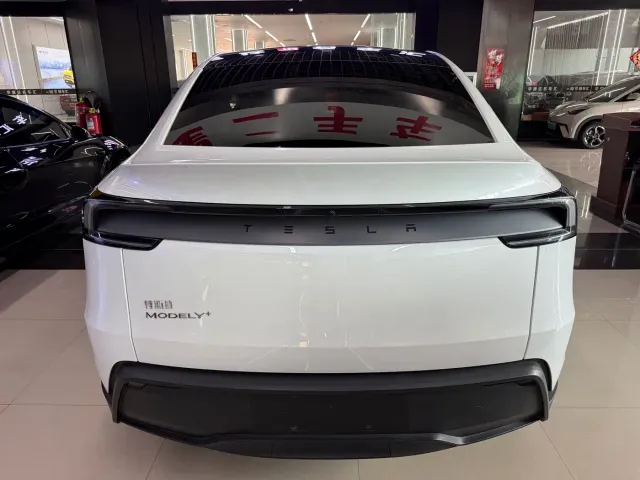 Tesla Model Y — Фото автомобиля 2