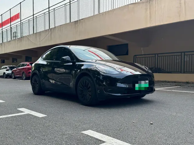 Tesla Model Y — Фото автомобиля 3