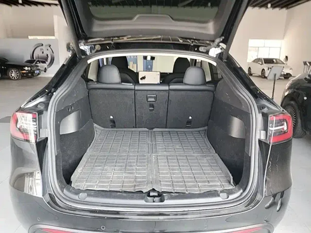 Tesla Model Y — Фото автомобиля 18
