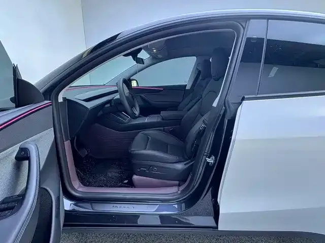 Tesla Model Y — Фото автомобиля 10