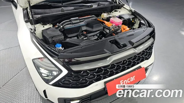 Kia Sportage — Фото автомобиля 6